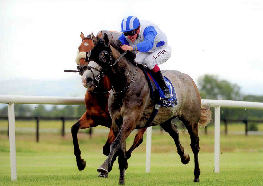 Suspect Device Fairyhouse 29th June 2011